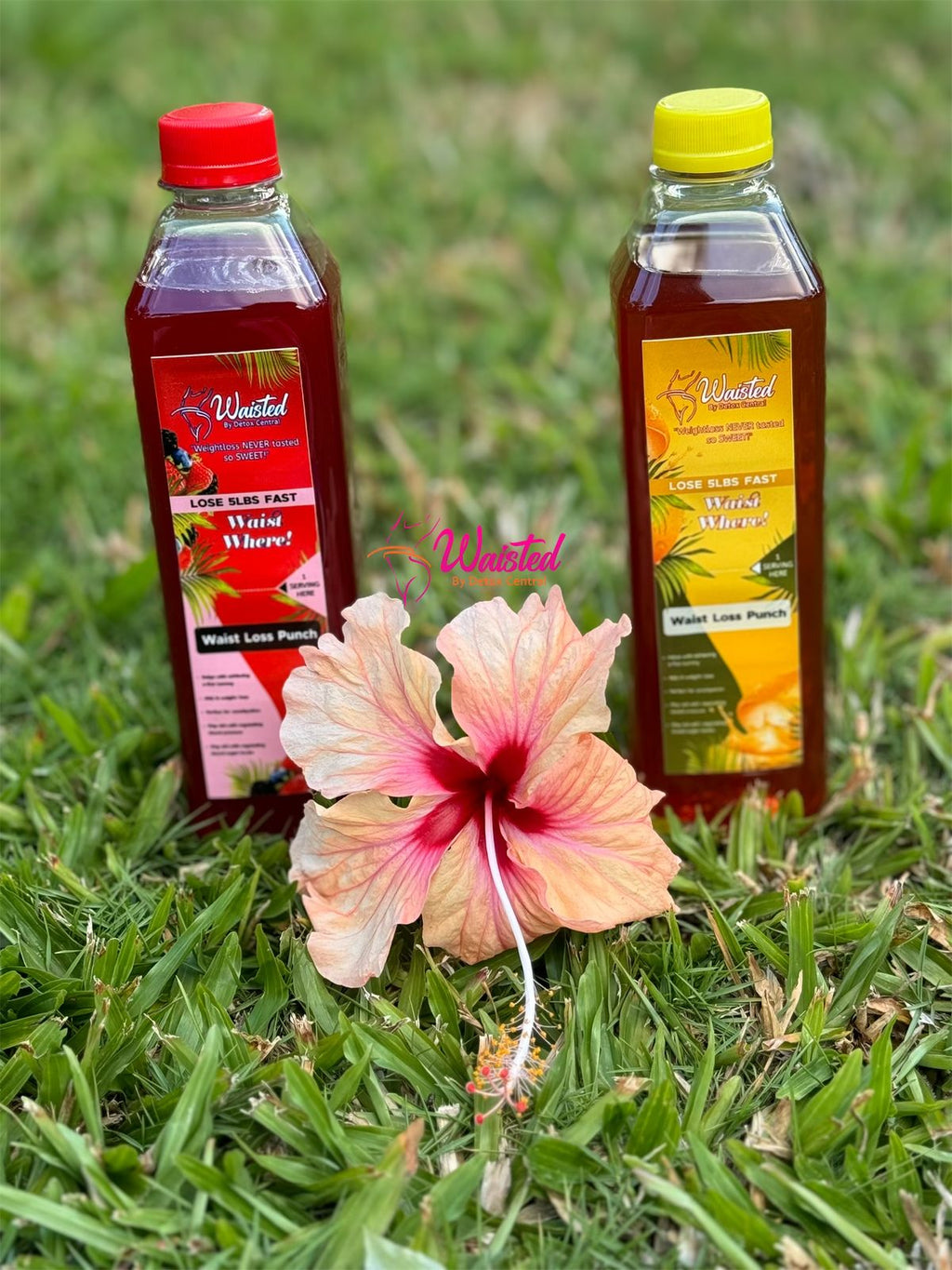 Waist Loss Elixir 7-Day